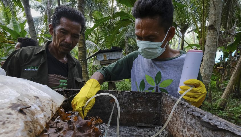 Village forest honey farmer extracts honey from a hive